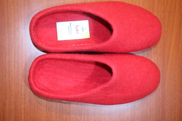 Felt Shoes