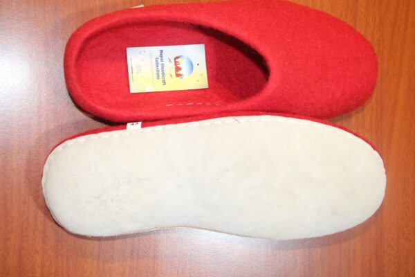 Felt Shoes